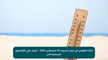 حالة الطقس في مصر السبت 16 أغسطس 2025.. تعرف على التفاصيل الرسمية الآن